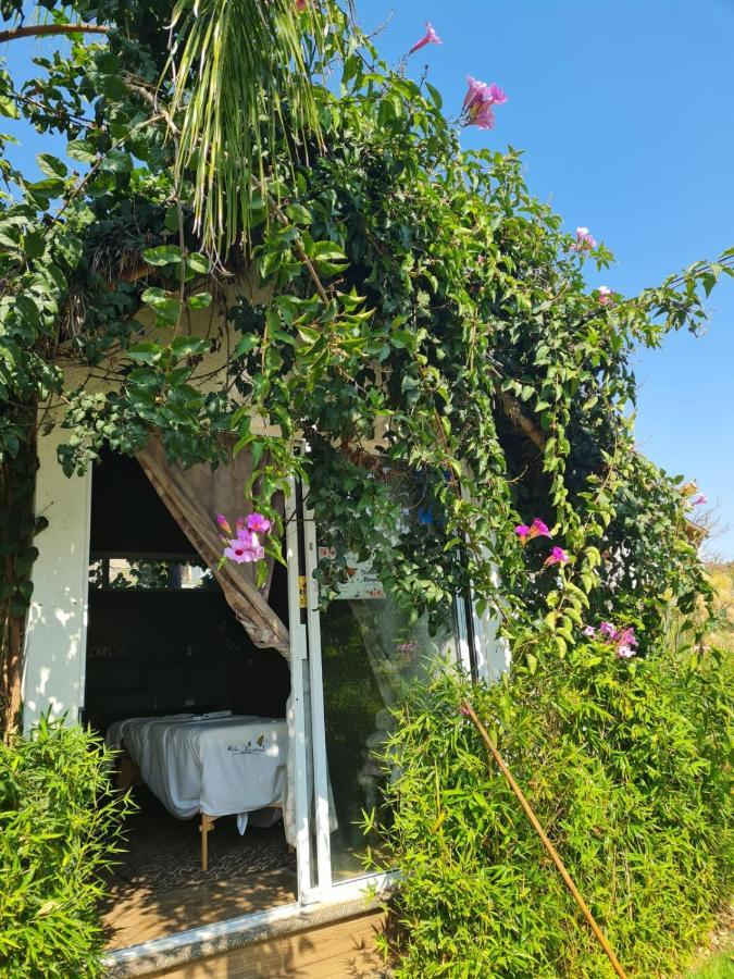 Hotel Villas Mariposas Атлиско Екстериор снимка